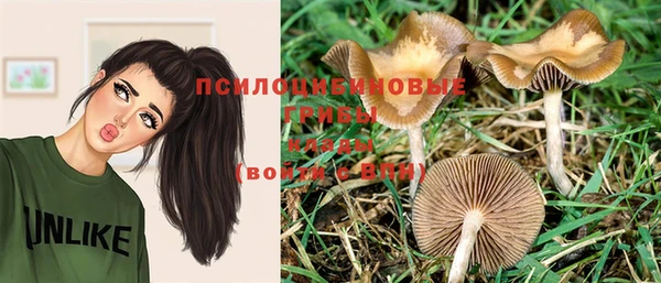 spice Алексин