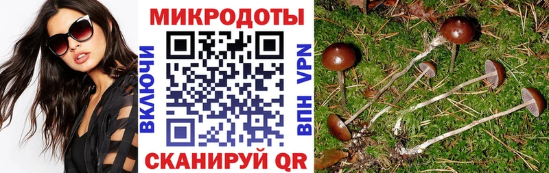 Галлюциногенные грибы Magic Shrooms  где купить наркотик  Бодайбо 